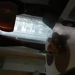 Klassik And Sunny Apartment!